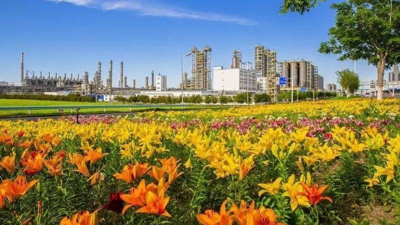造纸消泡剂：揭秘其优缺点，助力高效生产**